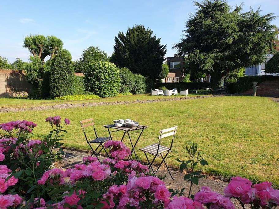Huyze Lapin Vakantiewoning Brugge Buitenkant foto
